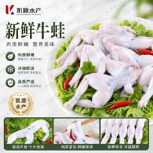 牛蛙鲜活冷冻新鲜特大牛蛙田鸡串去皮青蛙肉商用批发烧烤食材餐饮