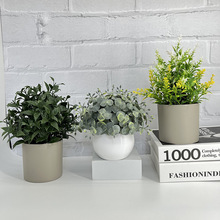 滨Լٻ辰͏d[insLkPƙbW[