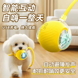 猫猫玩具;猫猫窝/笼/垫;猫厕所