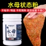 威拓森水状态网状饵料