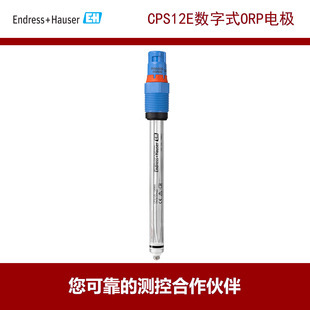E+H����˹��˹ ����ʽORP늘OCPS12E ����ʽ, �K�h, �������120m