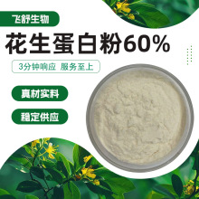 花生蛋白粉60%食品级原料保留原有的花生香味用于固体饮料无添加