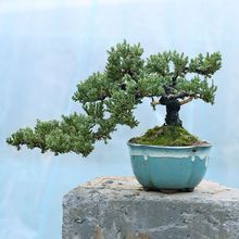 �辰ӭ�����������ֲ���ɰصذ������k����ͥԺ���^�҃ȾGֲ