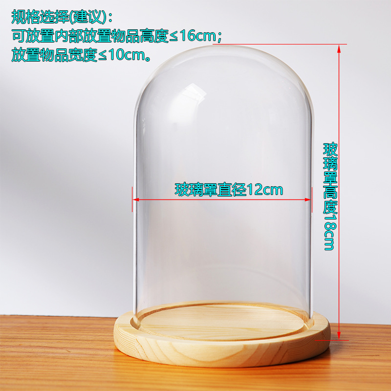 Cubierta cilíndrica de vidrio transparente sin lámpara de madera de estilo inmortal cubierta de polvo de flores hecha a mano decoración creativa de escritorio de bloques