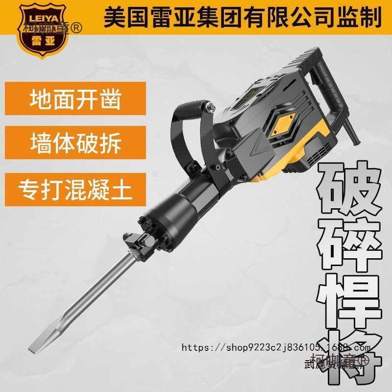 雷亚电镐工业级冲击钻大功率大马力115单用65大电镐黄油拆麦太保