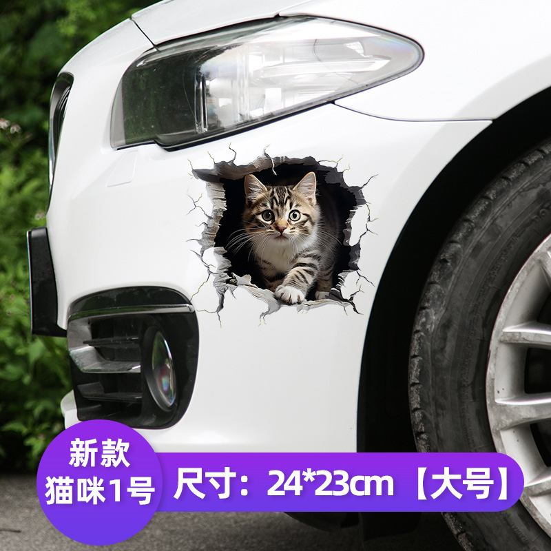 뉴캣 1호 [24cm] 3D 하이트루