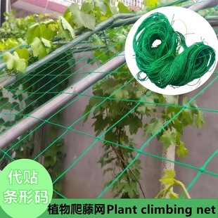 �羳ֲ�����پW��ֲ�W�ջ��������Gɫ���ӾWpe�@ˇ���پWplantnet