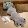 Gray cat