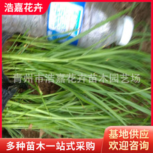 ��β�� ������β�� �^�p�� �ͺ��͝� ɽ�|�G����ݻ�����