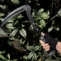 农用割草园林除草镰刀