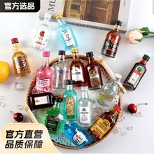便利店调酒小酒版小洋酒伏特加威士忌小瓶酒基酒小酒厂家小 瓶洋