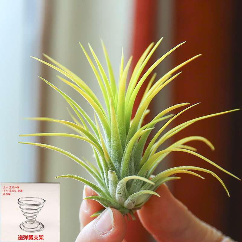 00d81f4d-edf0-4898-9ddb-4afa30311453.jpe