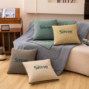 Dual-use two-in-one Multi-functional thickened embroidered gift pillow quilt car sofa cushion lunch break small quilt