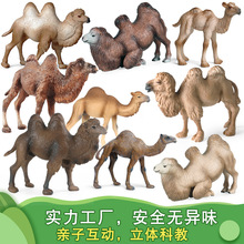 ɳĮ��������ģ��ʵ��Ұ��������ߵ���˫�����ն�ͯ��֪�ƽ̰ڼ�