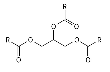 润肤剂PALMSURF MCT (GTCC)辛酸/癸酸甘油三酯