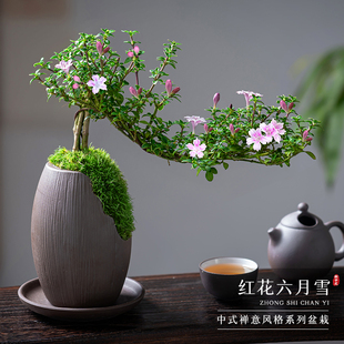 �t������ѩ�辰�����Ϙ������辰�k���҃Ⱥ��BС���ԾGֲ��������