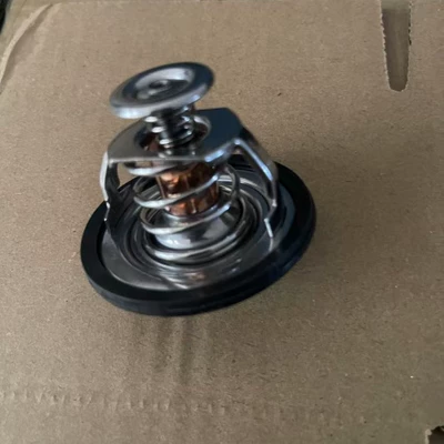 thermostat 1306050BB – Thermostat