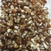 1536# 10 pieces of amber milk coffee beads