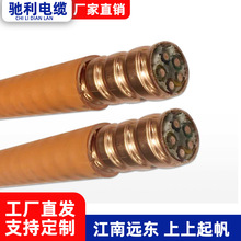 BBTRZ/RTXMY 3/5*10 国标绝缘电缆柔性铜芯柔性矿物防火电线电缆