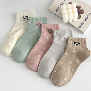 Ůʾ���m�ɐیW���m��ɫ���c�m�Ӳ��������m͸������Ů����Ͳ�m��