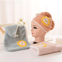 Wholesale Coral Fleece Dry Hair Cap Double Layer Thickened Absorbent Head Scarf Bath Cap Student Shampoo Towel Quick Dry Two Sides 
