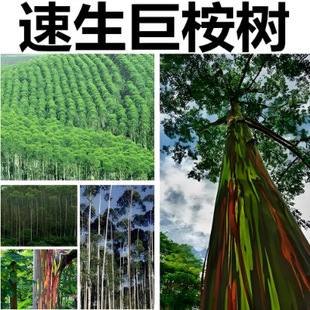 �����²����N�Ӵ��~�м������~��ײ��͘���켈���G��ľ��N��