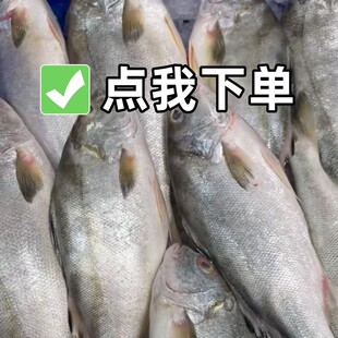 ���۲��������~������i�~�r��~���Ǻ��rˮ�a��S����\23/��