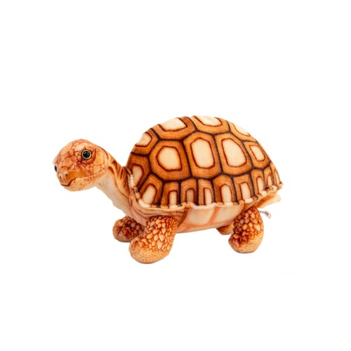 Cartoon simulation crawling animal turtle plush toy sea turtle Brazilian turtle doll children's comfort plush doll