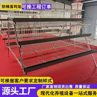 ����\�A�ݵ��u�\�Ԅӻ����ʽ���r�\�����Č����wʽ���P�Bֳ�\��