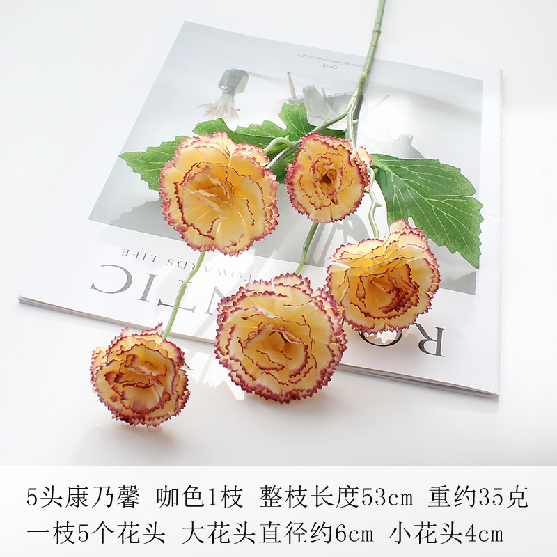 (5) 다크 브라운
