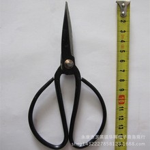 �S��ֱ�����ü���1̖�l�ڼ����ü����I�ü���̖��ʽ�F�����i�