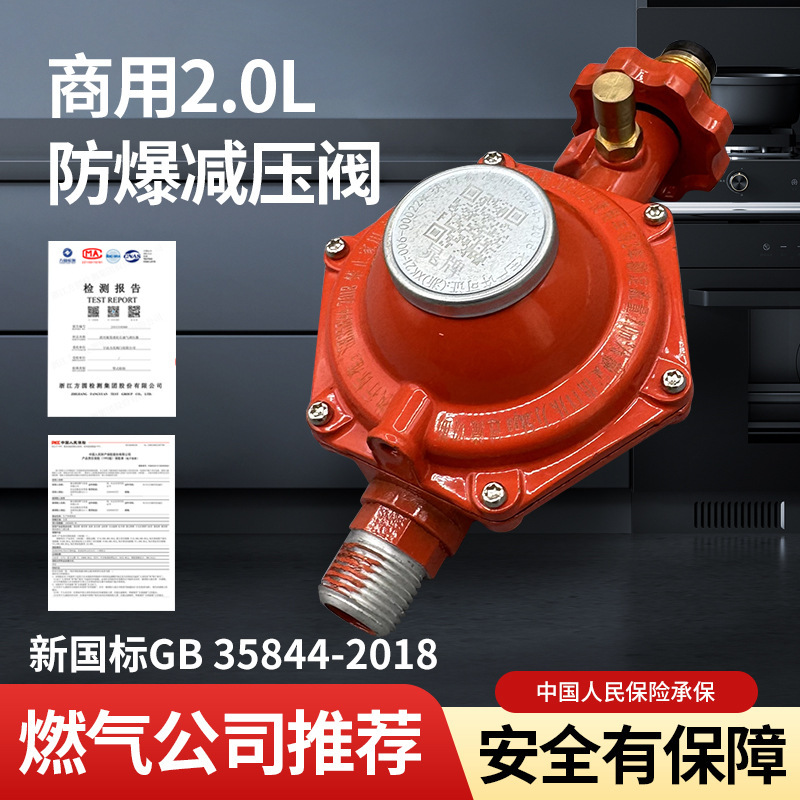 液化ガス防爆減圧弁家庭用ガスタンク漏れセルフロック安全弁商用安全大流量中圧弁|undefined