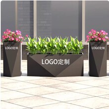 ���Ԯ��β��P���\����M���̲��ͥԺ��[�����̘I�֏V������