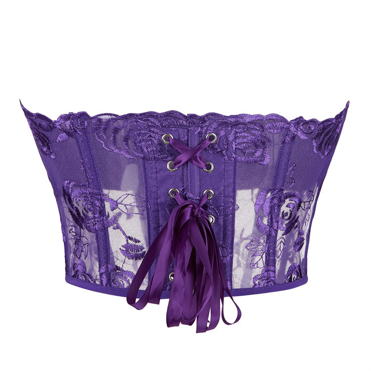 Perspectiva sexy de malla de encaje transpirable damas para limpiar el pecho de soporte de pecho reunido cortesana de plástico suministro transfronterizo