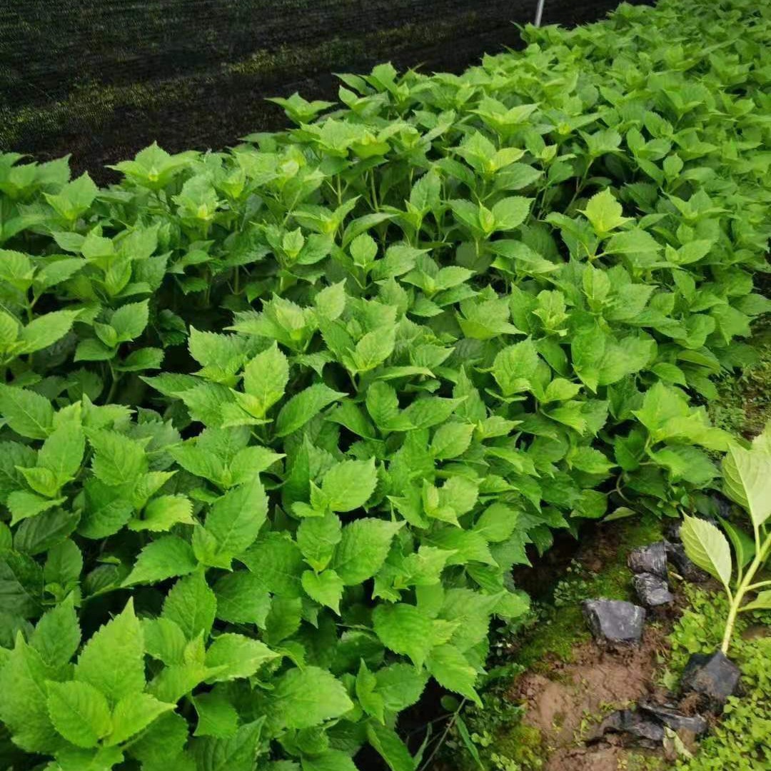 2024-03-26 11:27:11.jpg