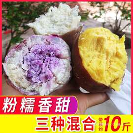 网红冰淇淋番薯一点红红薯新鲜爆皮王鸡蛋黄心粉糯甜混搭板栗地瓜
