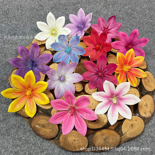 �羳�߼�3D��ӡ�z�����m���^DIY�l��仨 ��c�������滨�zӰ����