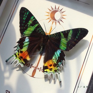 ̫ꖶ�����˱��b��[���Y����ֵ��������������x���նY��