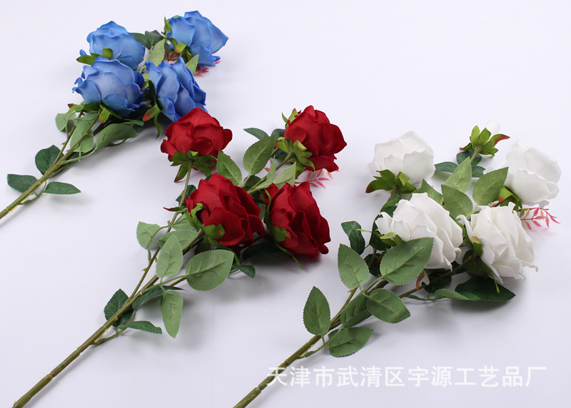 img_8107_副本.jpg