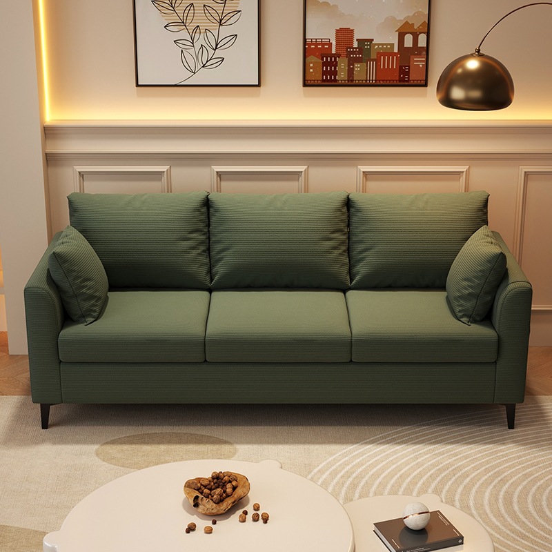 Light Luxury Sofa for Small Living Rooms, Simple Double or Three-Person Apartment, Clothing Store, Rental House, Rest and Reception Sofa