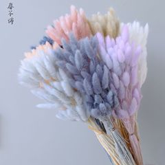 昆明直髪兎尾草乾花メーカー卸売り犬尾草乾花永生花小花束家庭装飾品