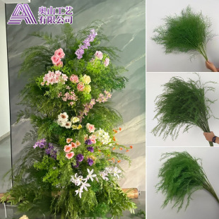 ɭϵ�������Ļ�Y��c���������J���ݷ���GֲĪ�λ��@�Gɫ���滨