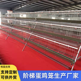 蛋鸡笼热镀锌三层四阶梯式白绿食槽A字型养殖鸡笼子铁丝网鸡笼子