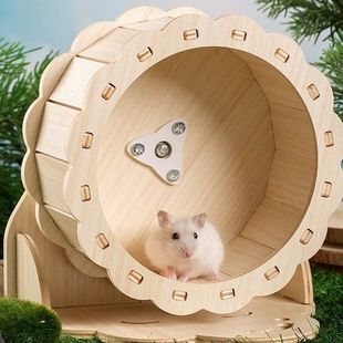 ľ�|���տ���݆�}���D݆��z�ܲ��CС���ܲ��C��߽M�b��