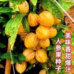 �˅����N���ļ����N��ɫˮ���N���S���߲���ͥԺ�̨�N�Ӵ�ȫ