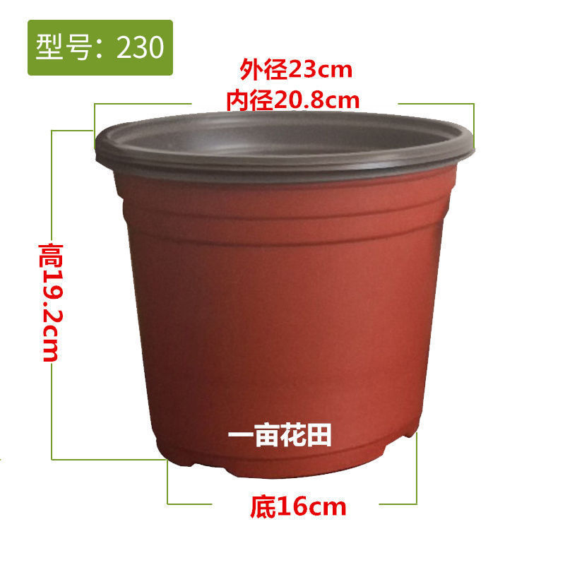 a02e3f52-3750-4c25-90c9-a00604df12e6.jpe