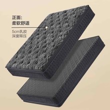 ���Ǽ��Ƶꏗ�ɴ��|�h����Ȼ���z���|�S�����o���|30cm��