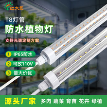 T8һ�w��ˮֲ��������L��Led�M����������߲��҃�ȫ���V�a���