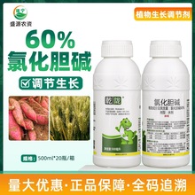 Ǭ�]60%�Ȼ�đ�|ˮ��С�������{�����L�rș�{�����ЙC��Ч�ЙC