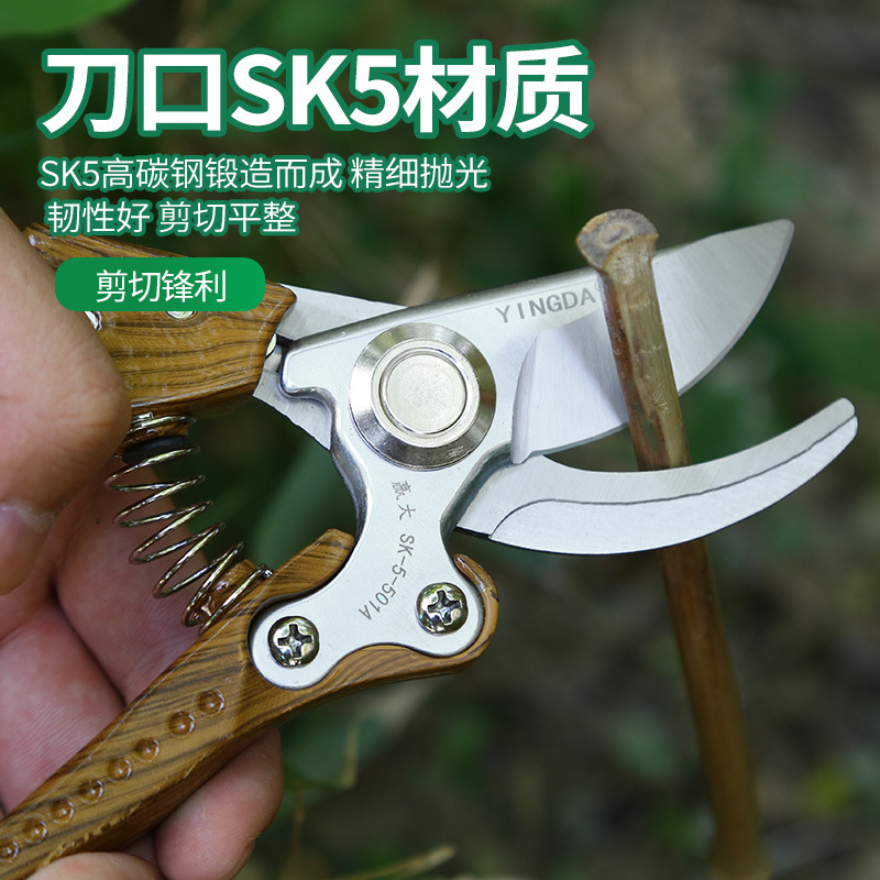 Winda ahorro de mano de obra mango de madera tijeras de árboles frutales herramienta de poda tijeras de jardín tijeras de jardinería doméstica al por mayor